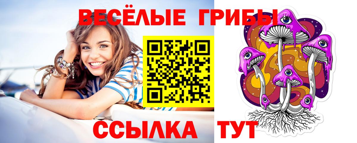 Владивосток  Псилоцибиновые грибы мицелий  Псилоцибиновые грибы Psilocybine cubensis  Вход с VPN 